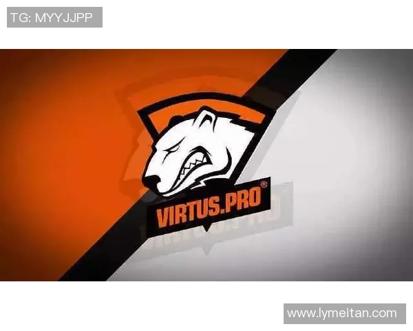 Virtus.pro绝地求生战队强势崛起全面解析团队战术与夺冠之路