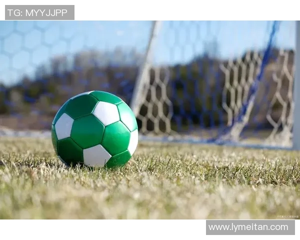 世界杯荣耀之路：历史回顾与未来展望，足球激情点燃全球梦想